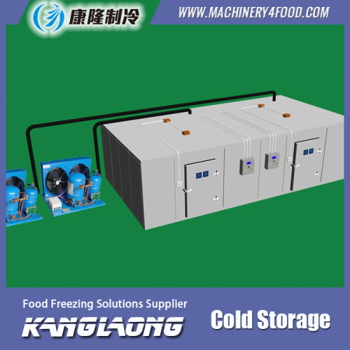 New Technology New Design Cold Storage Room For Chicken