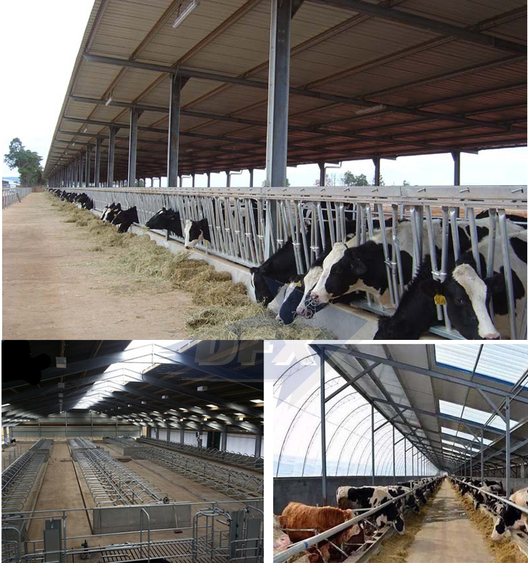 Pre-Engineered Steel Structure Broiler Poultry Farm Shed House Design