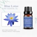 Pijat 100% minyak esensial lotus biru murni murni