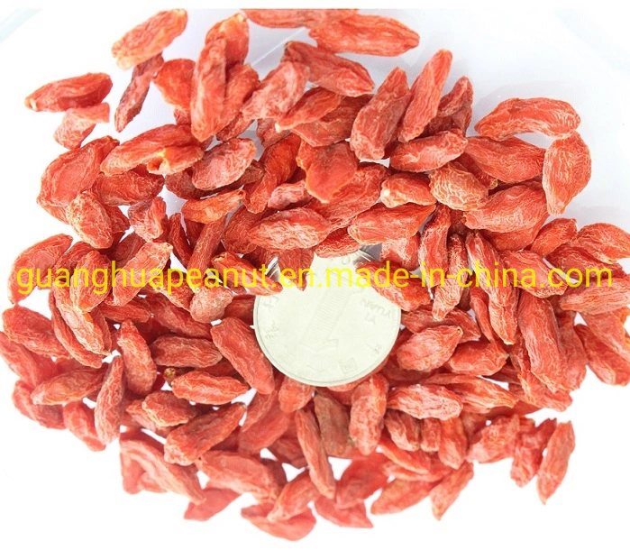 Organic Best Quality Dried Goji Berry New Crop