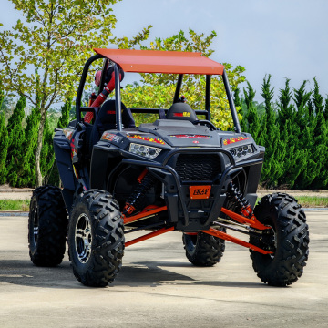 Customized 4 Seater Hunting Golf Cart & Off-Road UTV ATV Buggies