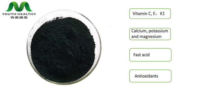 Chlorophyll powder