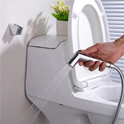 gaobao Self-Cleaning ECO Portable Shower Hand Set for Toliet