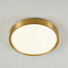 LED ceiling light for modern interiors