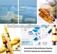 Avian Influenza Test/H5N1 Rapid Test