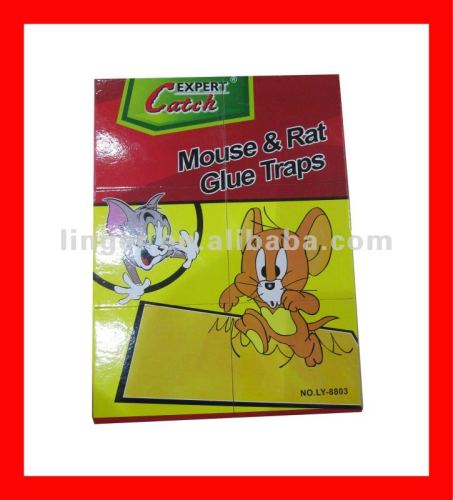 glue mouse Trap