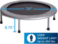 Fitness Trampoline for Exercise Fitness