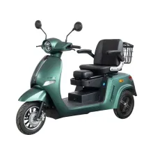 China Factory Supply: Elderly and Disabled Electric Vehicles, Scooters, Bikes, and Three-Wheel Motorbikes