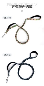 4 colors nylon elastic leash