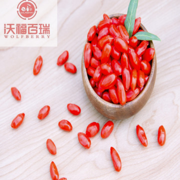 Goji berries can prevent visual degeneration