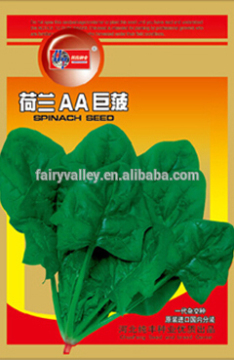 High Quality Chinese Spinach Seeds Leafy Vegetable Seeds For Planting-Netherlands Big Spinach