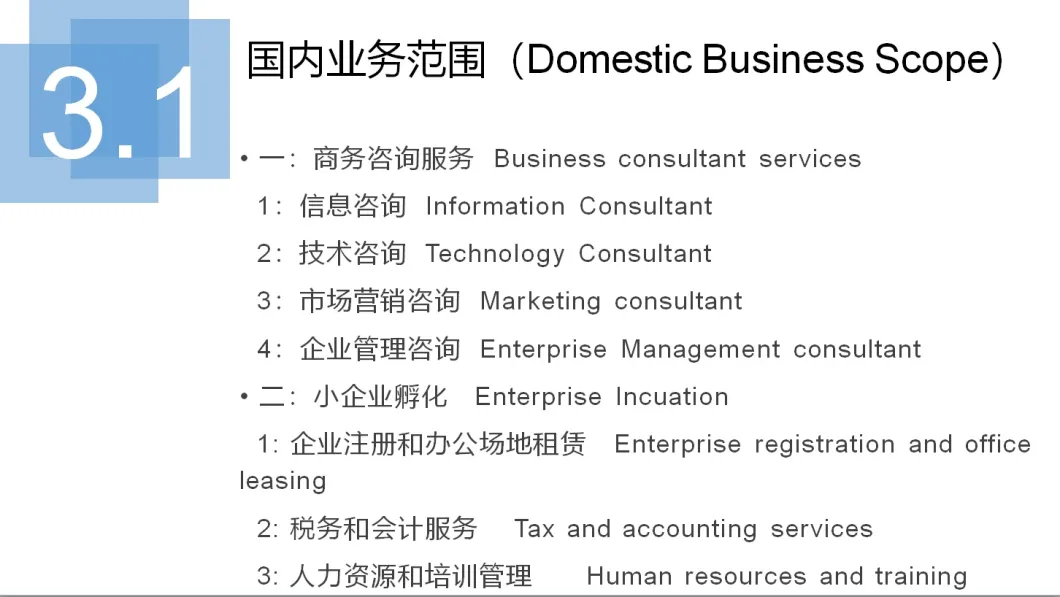 Domestic Business Consultant and Market Development Service