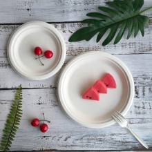 Biodegradable Sugarcane Bagasse Dishes Party Dinner Plate