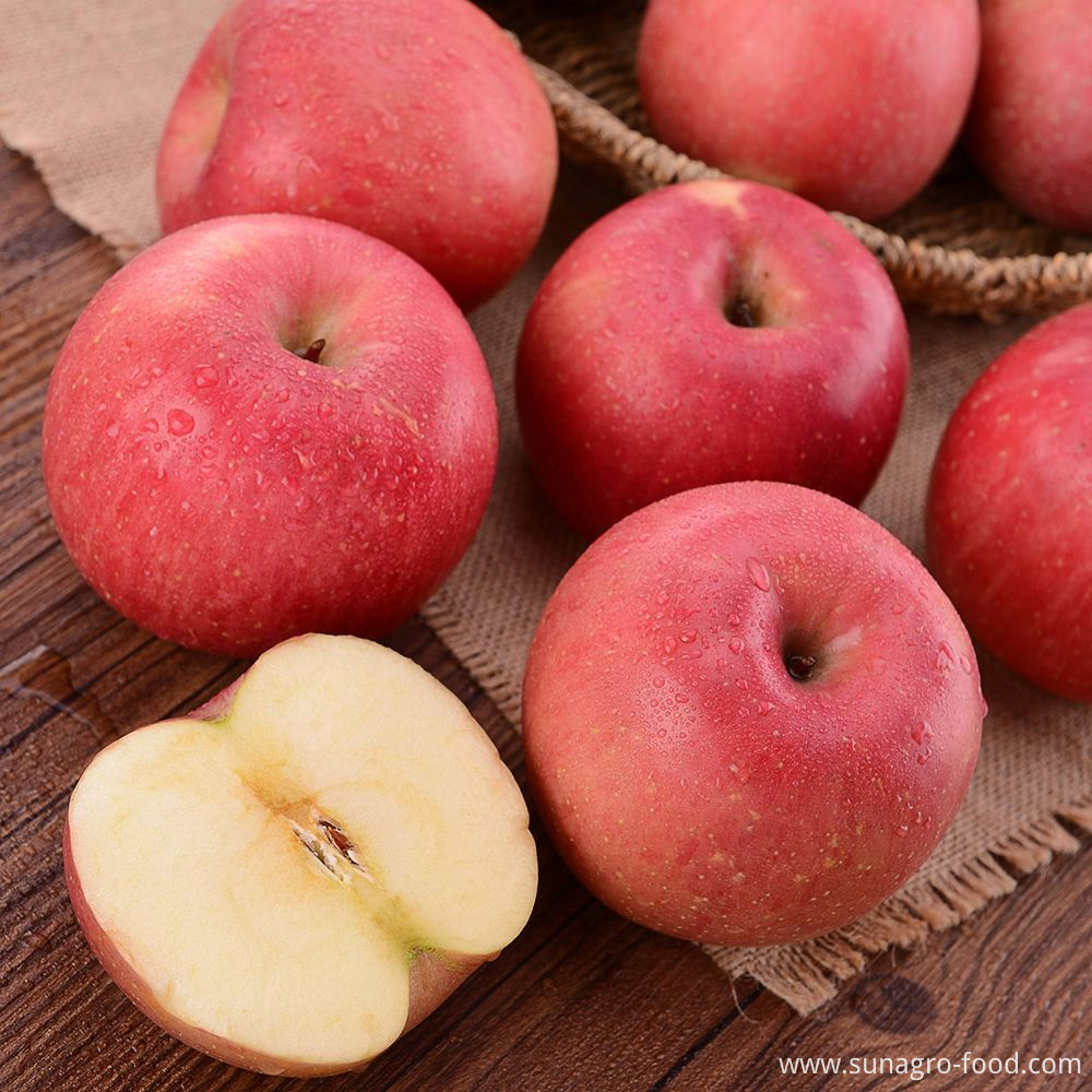 Fresh Red Star Apples