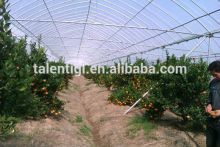 Greenhouse film for Orange growing