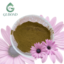 Echinacea Extract Powder for Dietary Supplement Ingredients