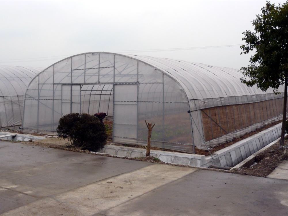 Tunnel Plastic /PE Flim Greenhouse For Vegetables