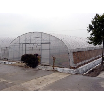 Estufa de sementes do túnel Skyplant para vegetais