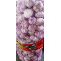 Henan province new garlic sell to Mozambique