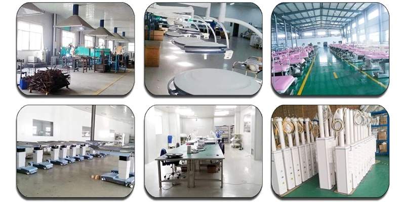 Handheld Scanner Equipment Farm Machinery Veterinary Ultrasound