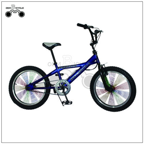 20 polegadas bicicleta de Freestyle de aço Hi-ten
