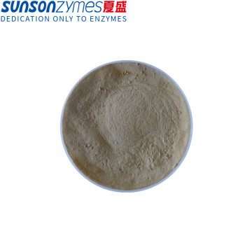 Animal feed additive acid cellulase enzyme concentrate