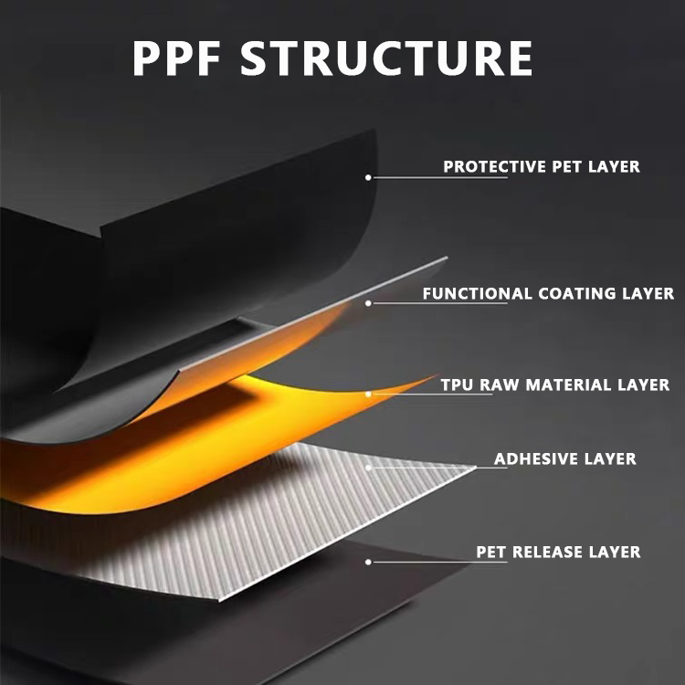 Ppf Structure