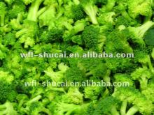 IQF Vegetable Production Line