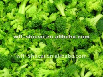 IQF Vegetable Production Line