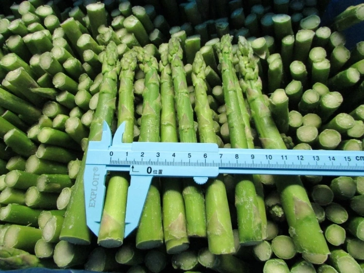 Nop EU Organic IQF Frozen Vegetables Green Asparagus From China