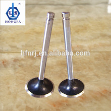 Motercycle valves for Harley