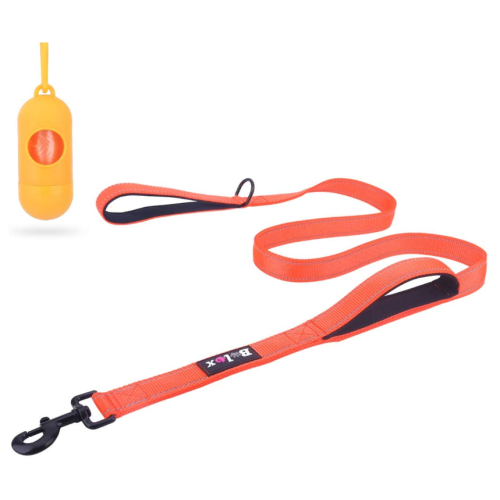 Training Walking Dog Lead