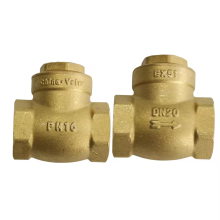 China Manufacturer's 1" Threaded Brass Check Valve: Swing Horizontal, One-Way Copper Check Valve