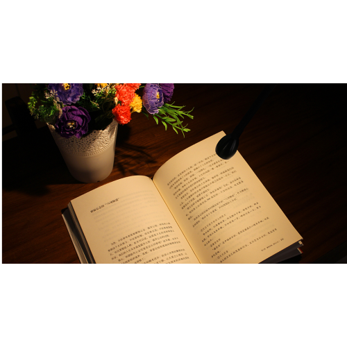 LED Reading Light with USB Charging Function