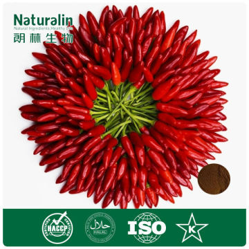 Capsicum Extract 1% 2% 95% Capsaicin Capsanthin