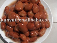 canned broad beans(canned food)