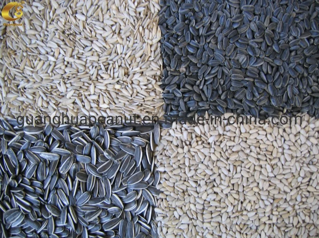 Perfect Quality Sunflower Seeds New Crop with Ce