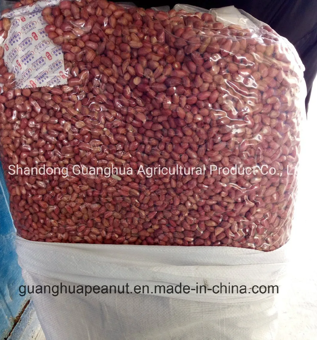 Jumbo Groundnut Kernels with Export Quality