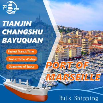 Bulk Shipping Export Agent From Tianjin To France