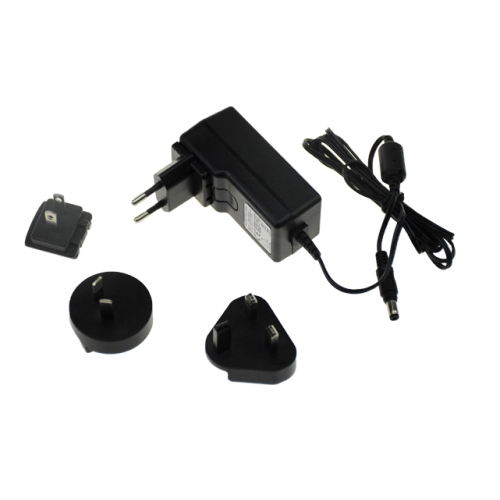 Cargador de batería de pared 1A 12V con enchufe intercambiable