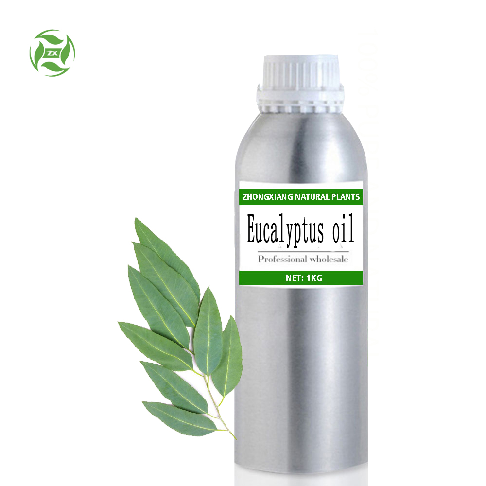 Fashion Eucalyptus Essential Oil Wholesale for scented air machine