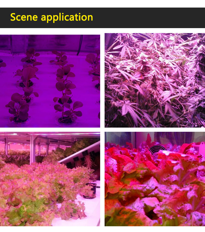 led grow light