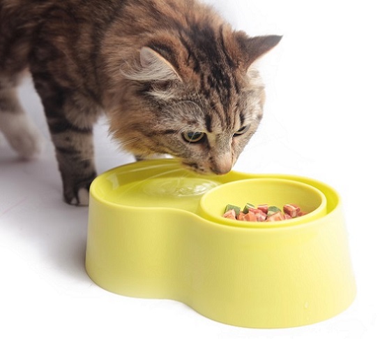 Anti-Ant Plast Pet Bowl - Rosa