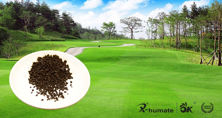 Organic Fertilizer Black Shiny Granular 85%Min Water Soluble Potassium Humate From Leonardite