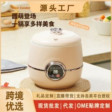 mini rice cooker