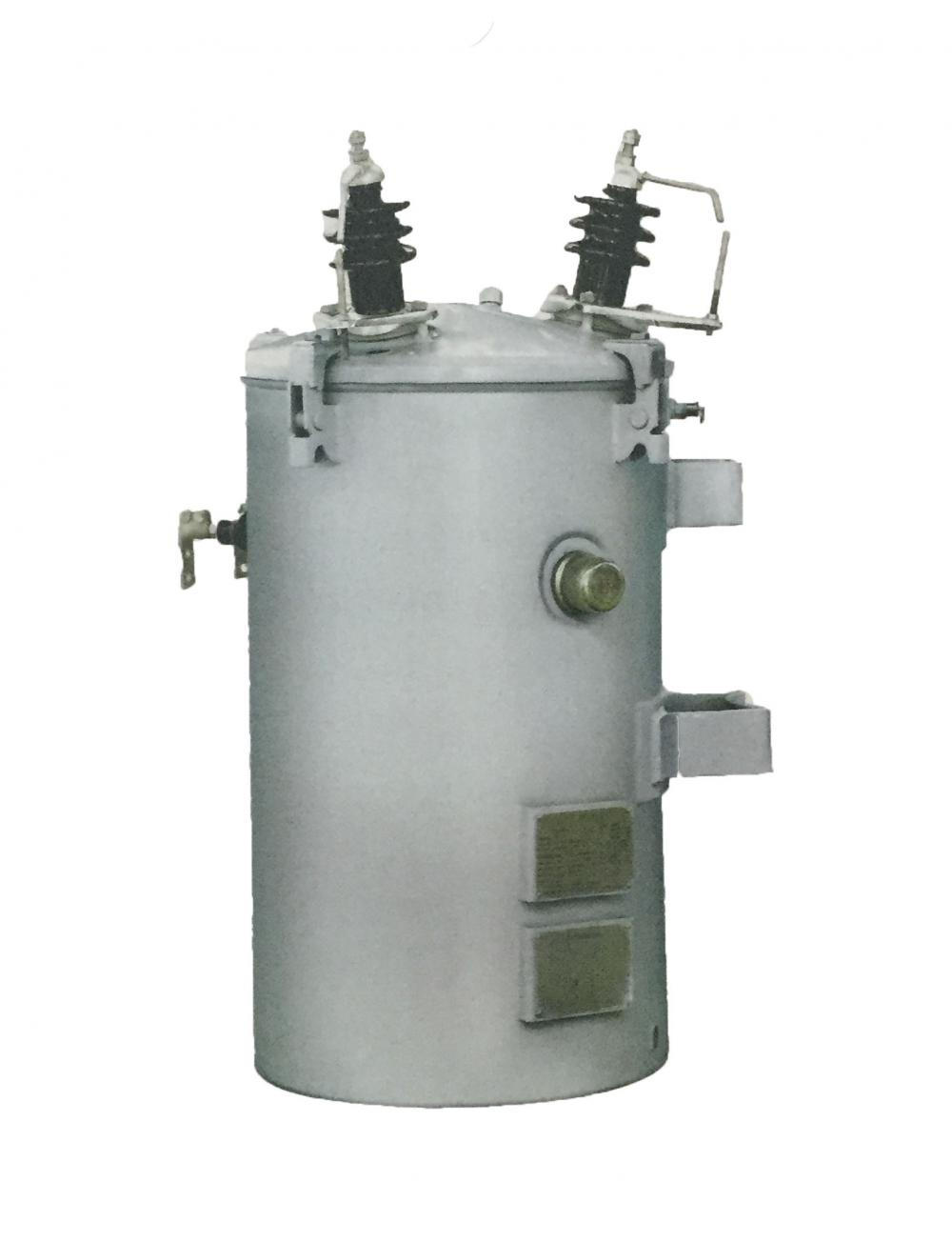 Single-phase Pole Mounted Distribution Transformer Complete Self-protected (CSP)