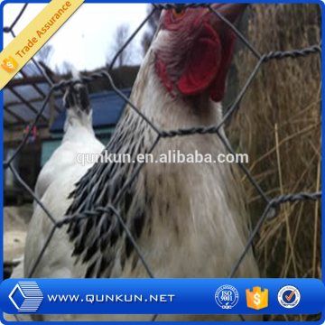 Alibaba China cheap chicken coops for sale