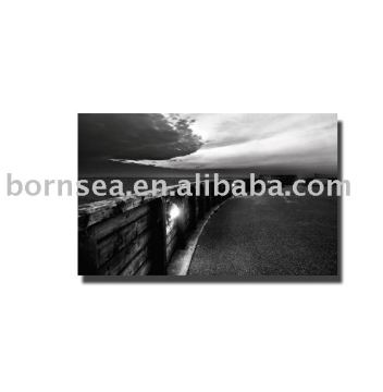 white&amp;black canvas prints