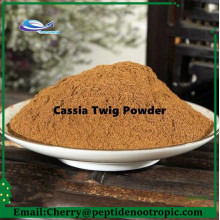 Supply Cassia Twig Guizhi Extract 10:1 Powder
