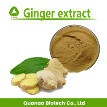 Extracto de jengibre Gingerol en polvo 5% 10%